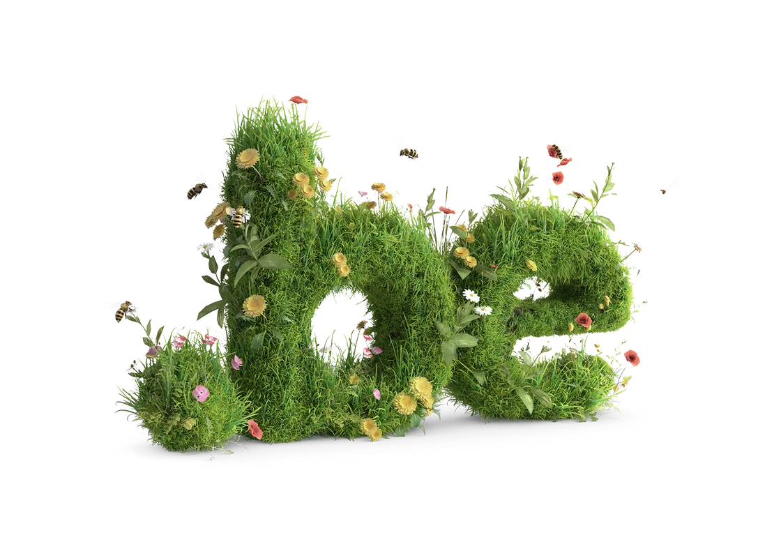 Een .be begroeid met gras en bloemen